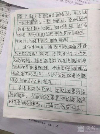 小学最新作文，探索与发现的奇妙之旅