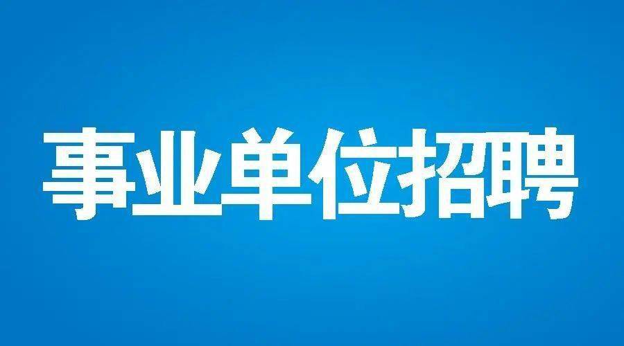 灵通咨询运城最新招聘动态深度解析与解读