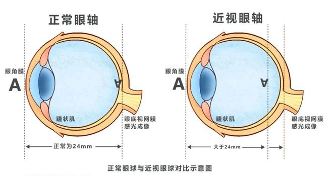 企业地址